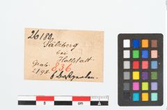 Etikett zu Perlenkette (NHMW-PRAE-026180)